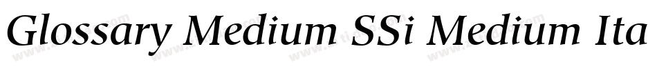 Glossary Medium SSi Medium Italic字体转换